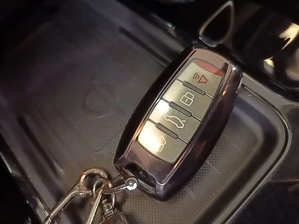 Haval Big Dog 2021 2.0T DCT 4WD Chinese Rural Dog Edition фото 9