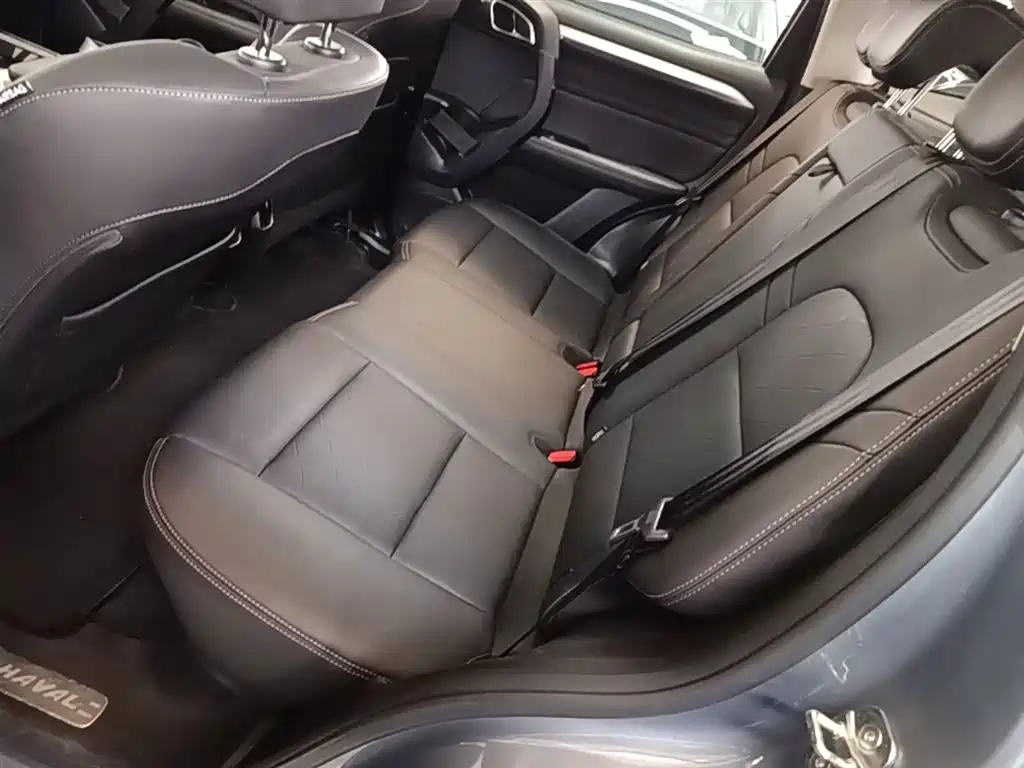 Haval Big Dog 2021 2.0T DCT 4WD Chinese Rural Dog Edition фото 17