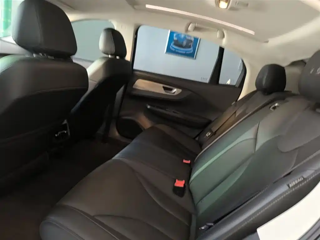 Hongqi E-QM5 2023 620km PLUS фото 17
