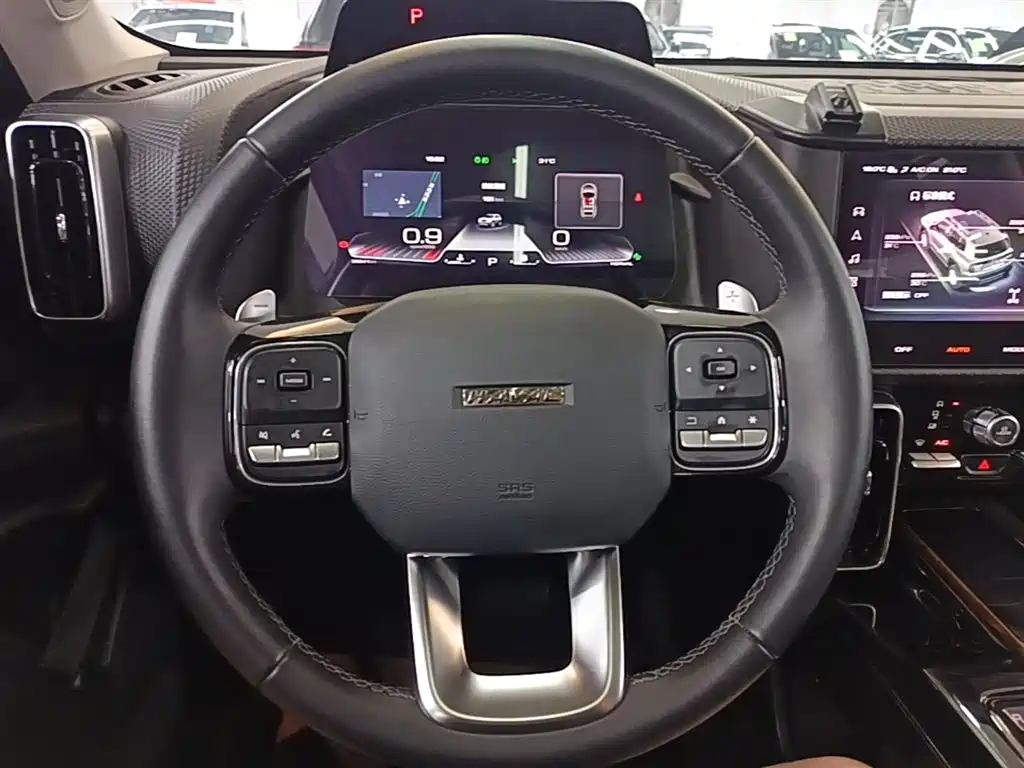 Haval Big Dog 2021 2.0T DCT 4WD Chinese Rural Dog Edition фото 11