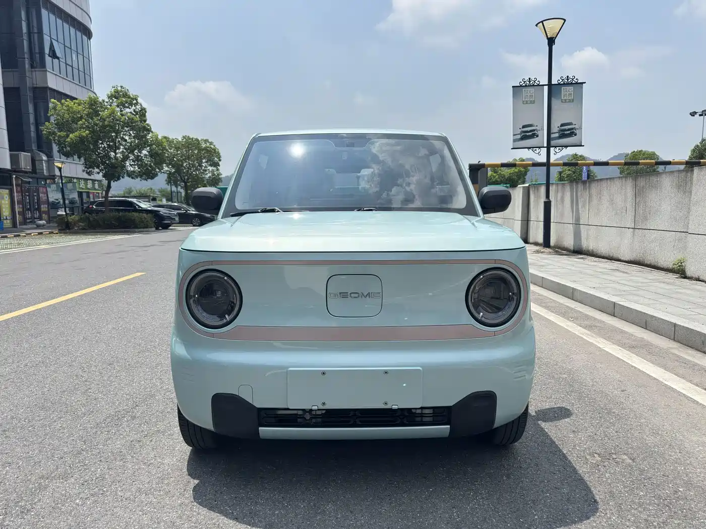 Geely Galaxy Panda 2023 2023 Panda Mini 200km Lively Bear