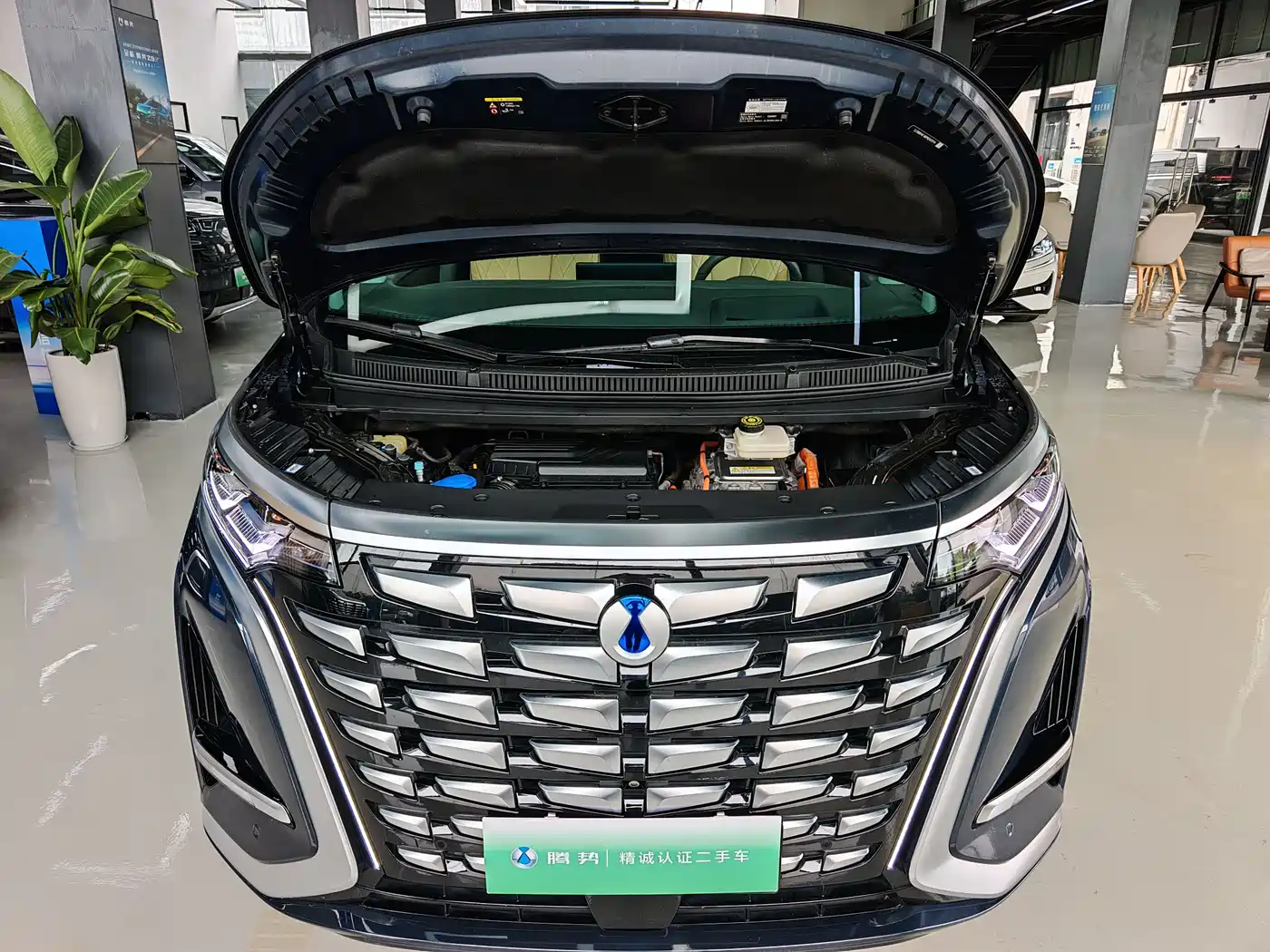 Denza D9 2022 DM-i 970 AWD Flagship фото 22