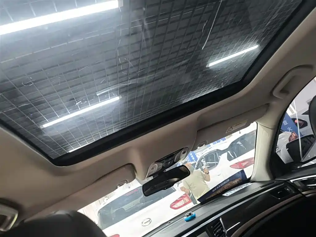 GAC Trumpchi Trumpchi GS8 2017 320T 2WD Luxury Smart Connect (7-seater) фото 18