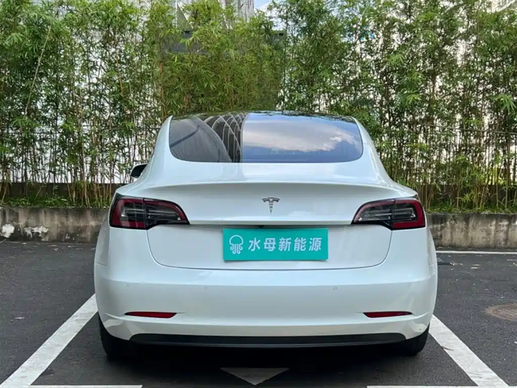 Tesla Model 3 (Import) 2020 2019 Long Range RWD Version