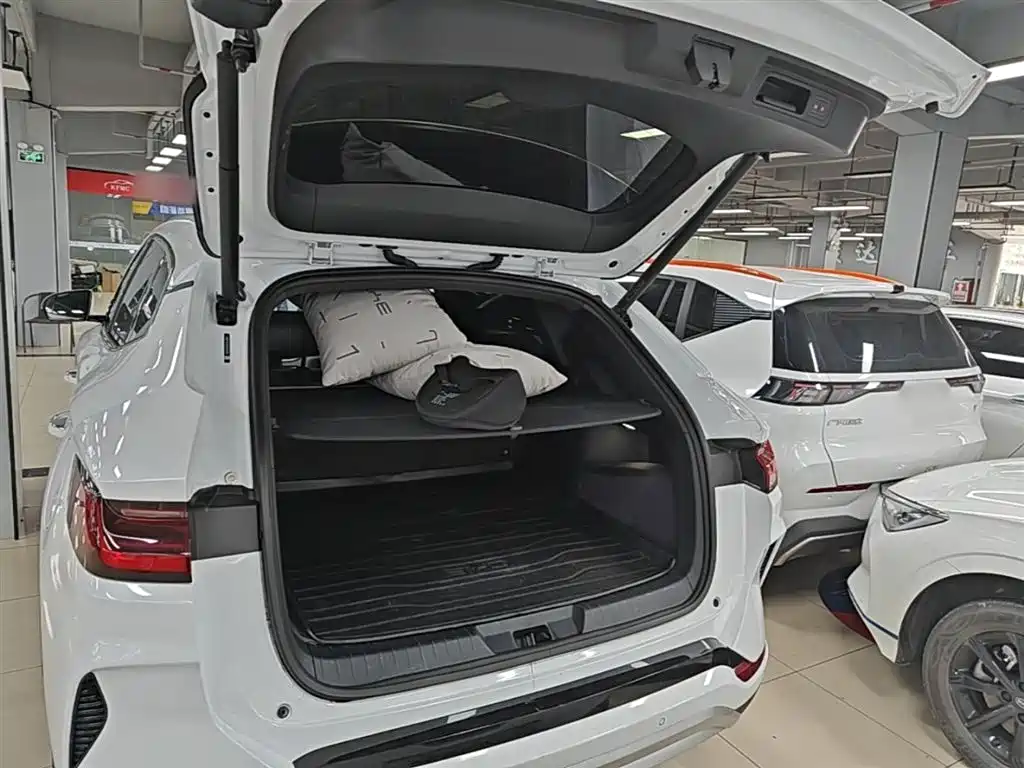 BYD Song PLUS PHEV 2023 Champion Edition DM-i 110KM Flagship фото 19