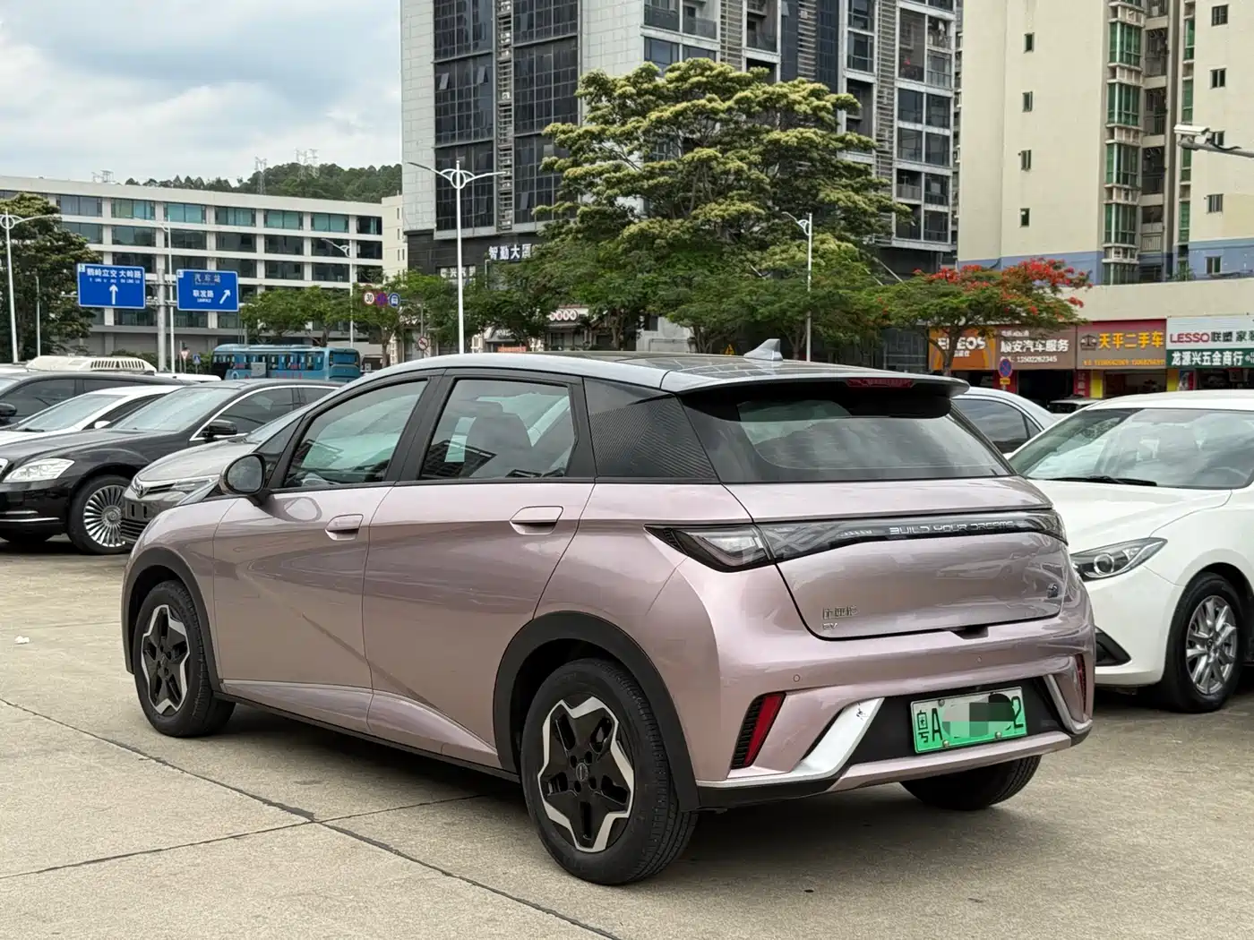 BYD Dolphin 2021 Model 405km Fashion Edition фото 6