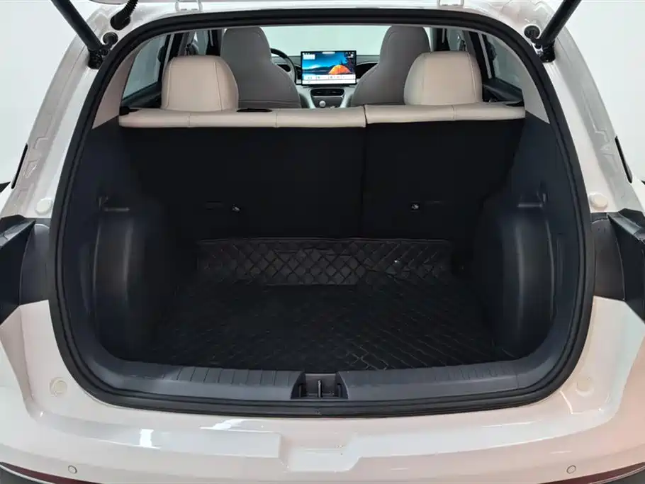 Geely Galaxy Starry Wish 2025 310km Dream Edition фото 4