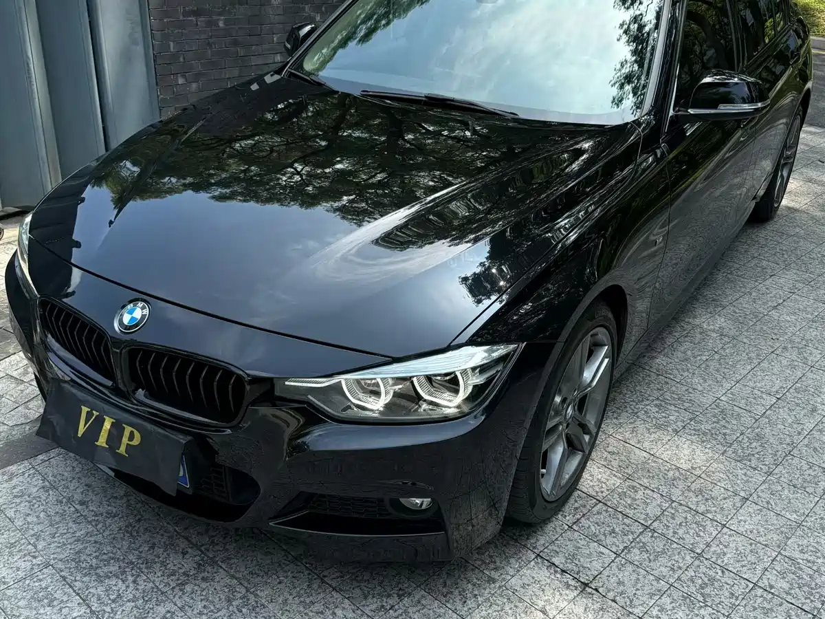 BMW 3 Series 2018 320Li Leading M Sport Package фото 2