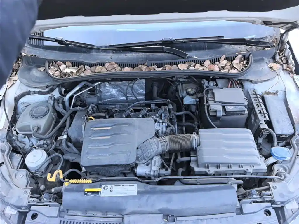 Volkswagen Polo 2019 Plus 1.5L Automatic Beats Trendy Edition фото 19