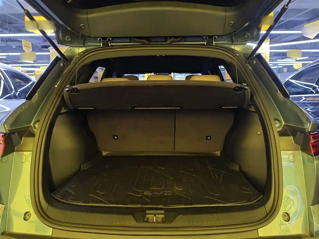 BYD Song Pro New Energy 2024 Glory Edition DM-i 71KM Pilot фото 15
