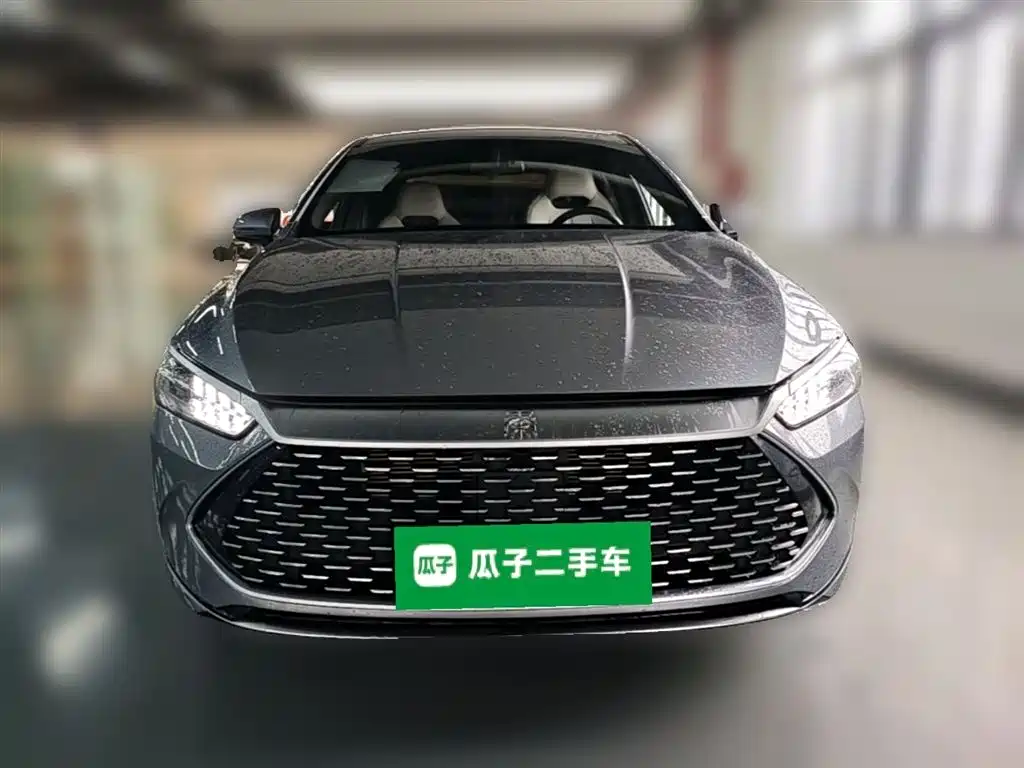 BYD Qin PLUS 2024 Glory Edition DM-i 55KM Leading фото 5