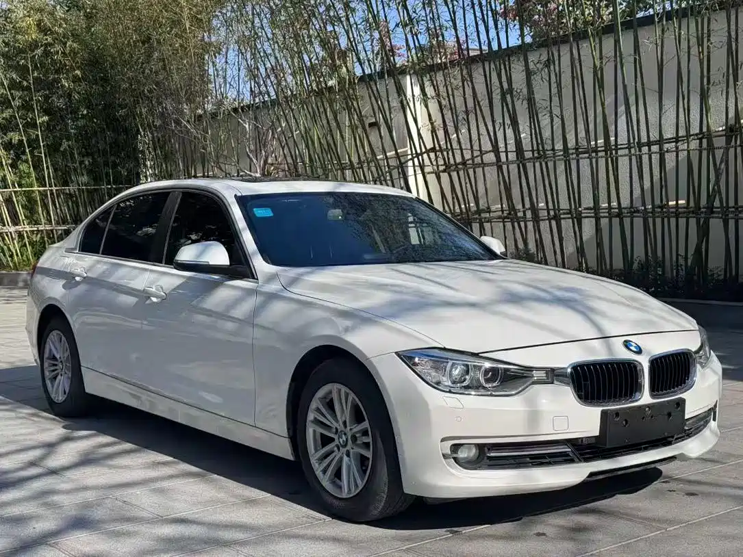BMW 3 Series 2015 316Li Fashion фото 3
