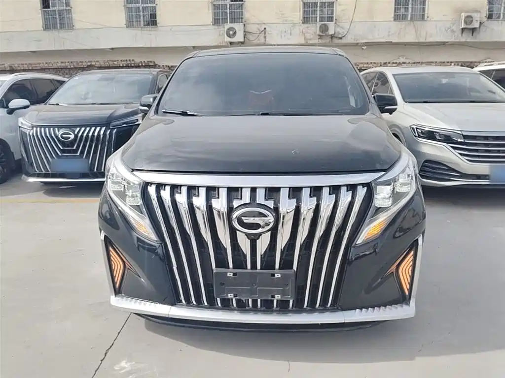 GAC Trumpchi Trumpchi M8 2021 Leading Show Series 390T Premium Edition фото 3