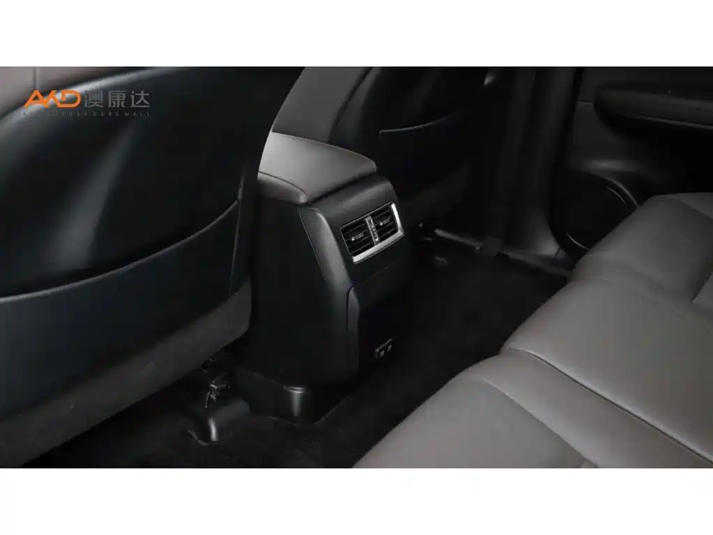 Lexus RX 2020 300 4WD Elegance Edition China VI фото 9