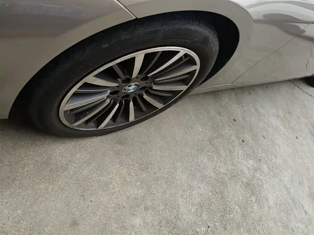 BMW 3 Series 2019 320Li Fashion Type фото 23