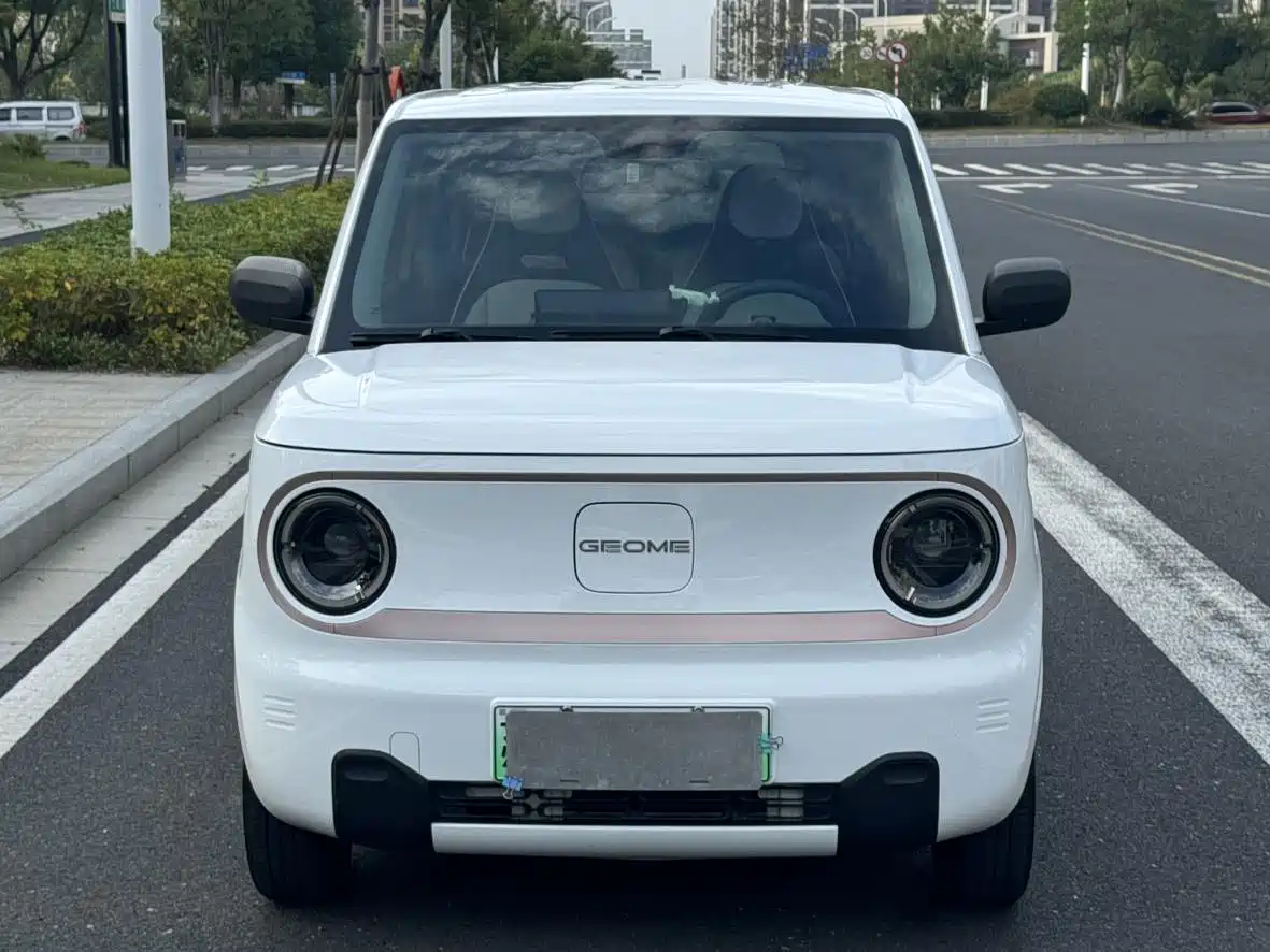 Geely Galaxy Panda 2023 Panda Mini 200km Endurance Bear фото 2