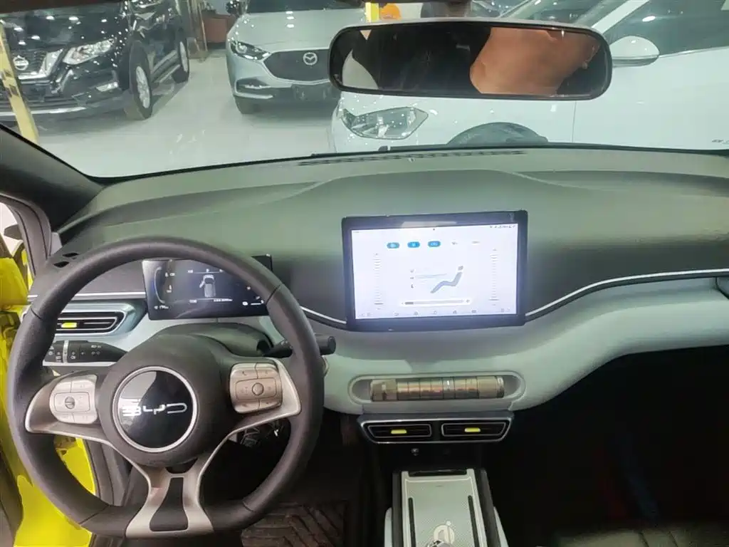 BYD Seagull 2023 Vitality Edition фото 10