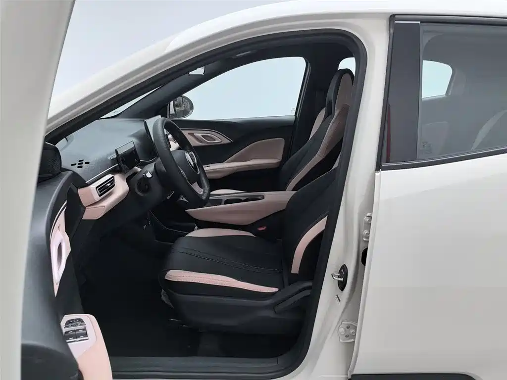 BYD Seagull 2025 Smart Drive Edition 305km Vitality Version фото 10