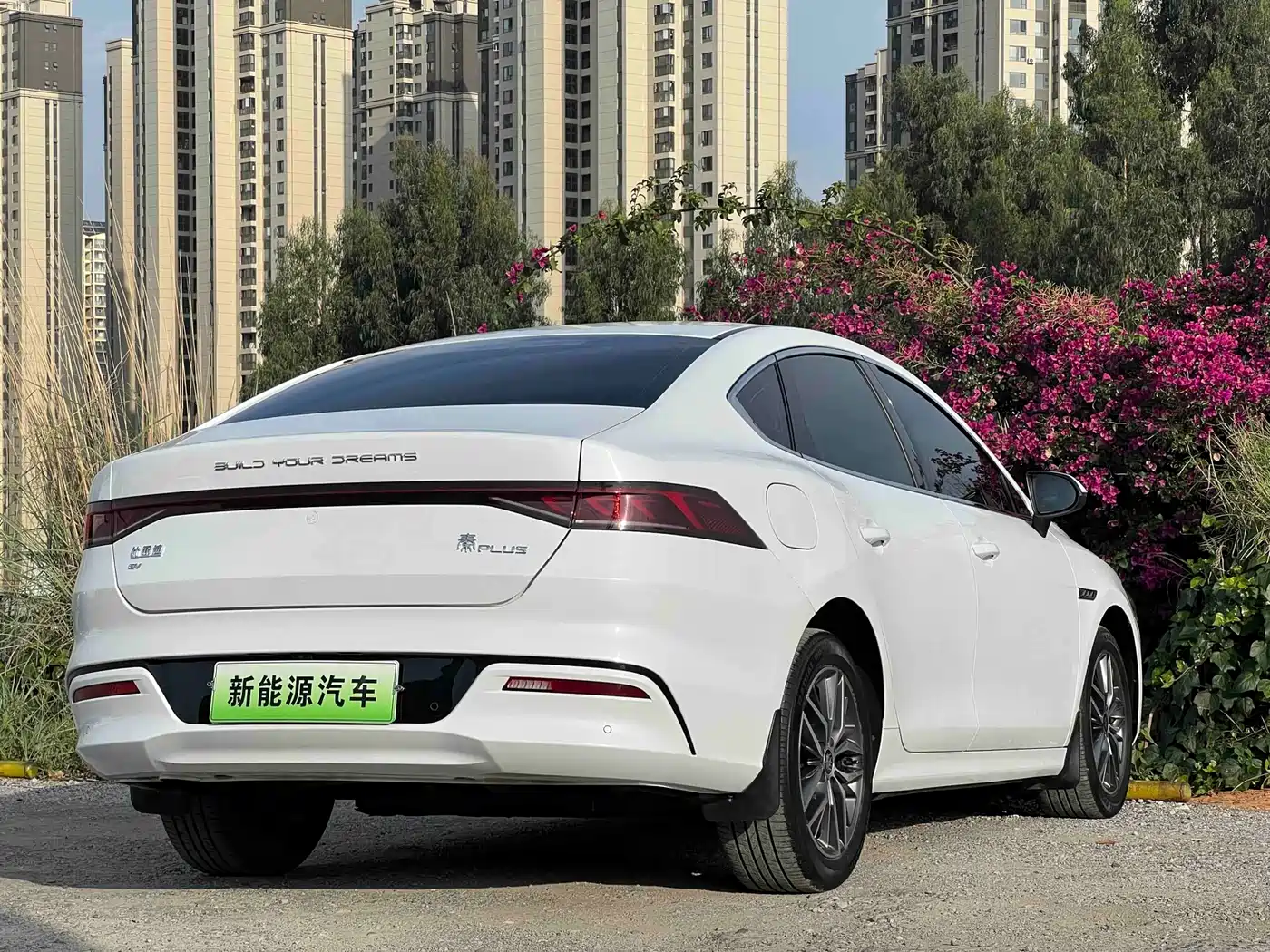 BYD Qin PLUS 2021 EV 500KM Luxury Model фото 7