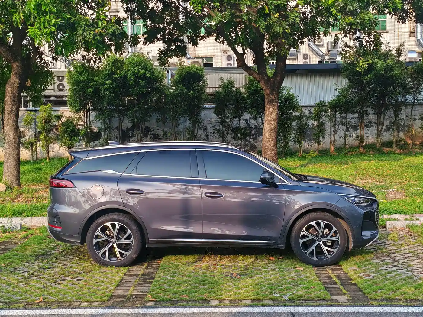 BYD Tang New Energy 2025 DM-i 115KM Prestige Type фото 4