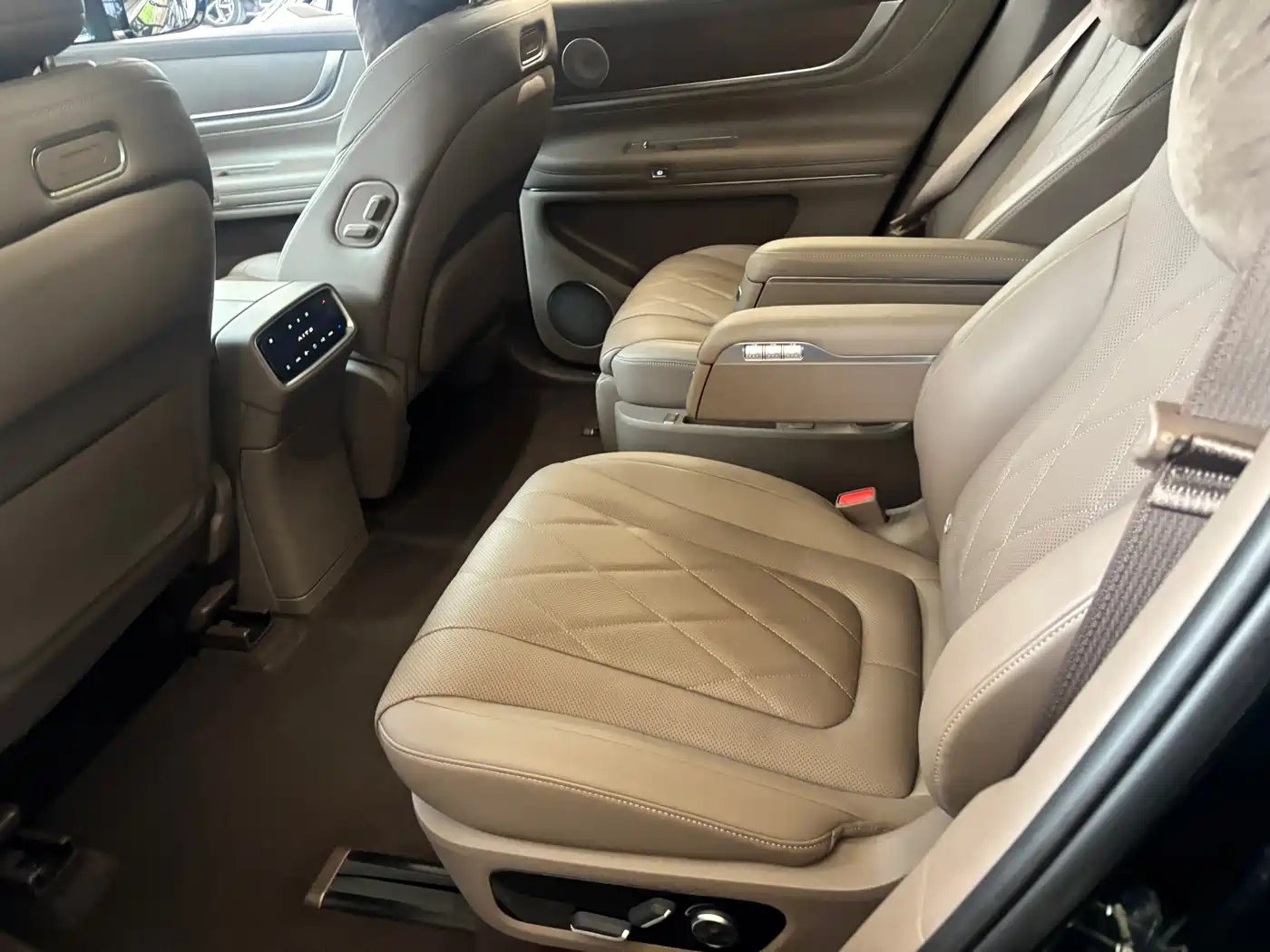 AITO Wenjie AITO M9 2024 Range Extender Ultra 52kWh 6-seater фото 7