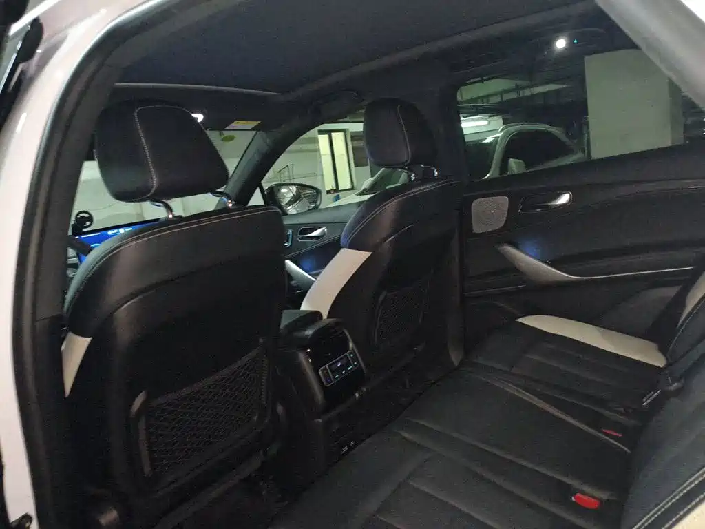 Denza X 2020 2020 PHEV Sport Edition