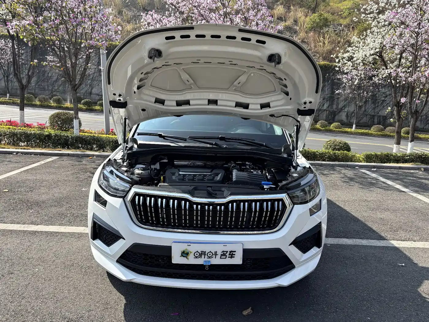 Škoda Kodiaq 2025 TSI330 5-Seater FWD Capability Edition фото 16