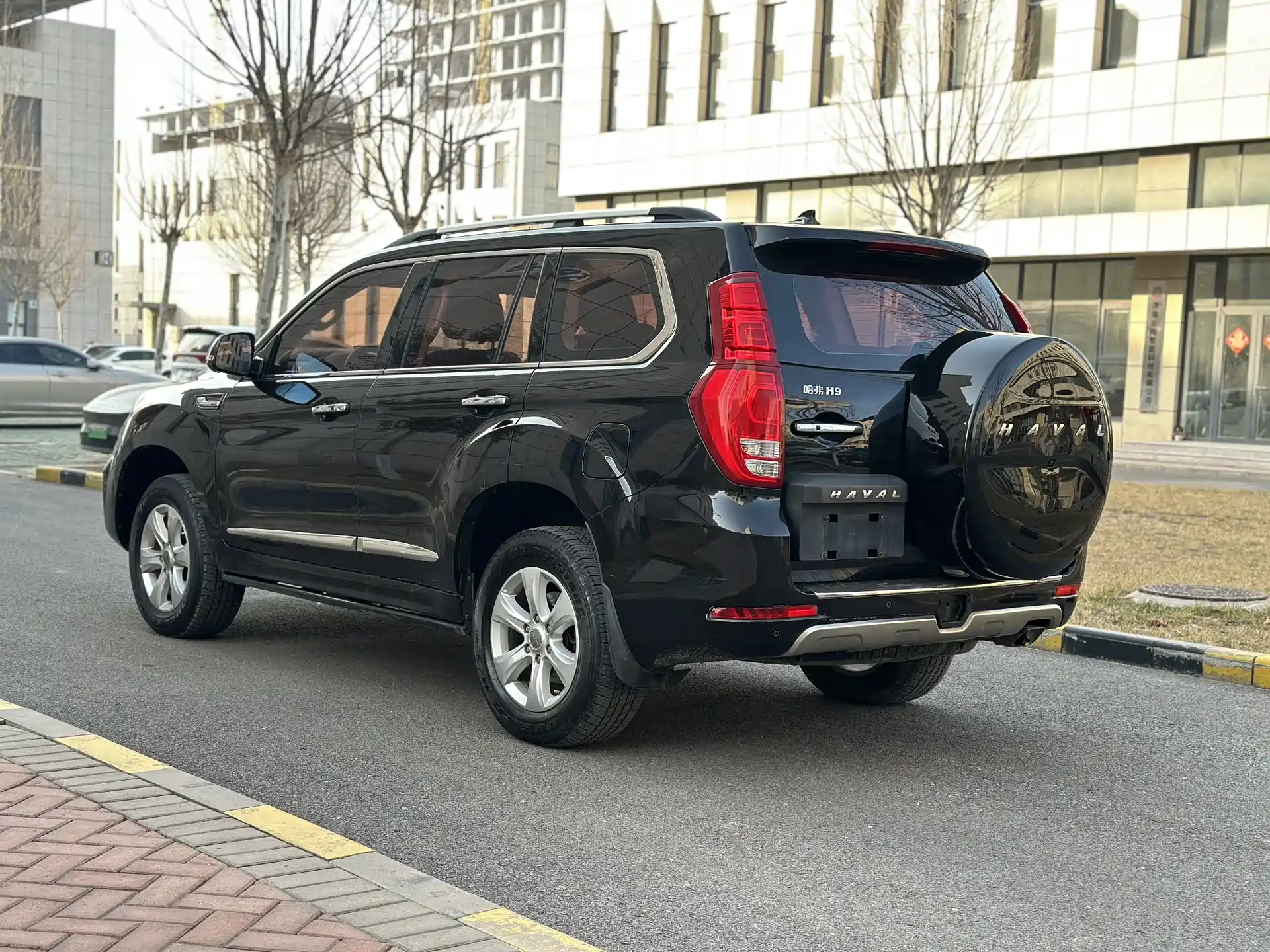 Фото 6 - Haval H9