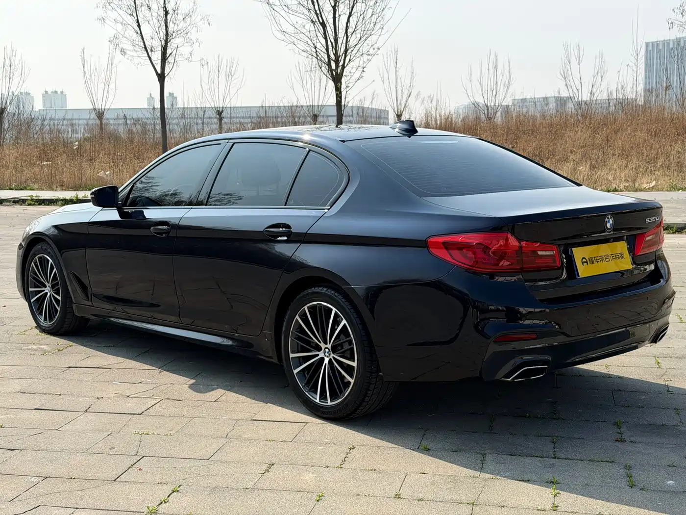 BMW 5 Series 2019 Facelift 530Li Leading M Sport Package фото 7