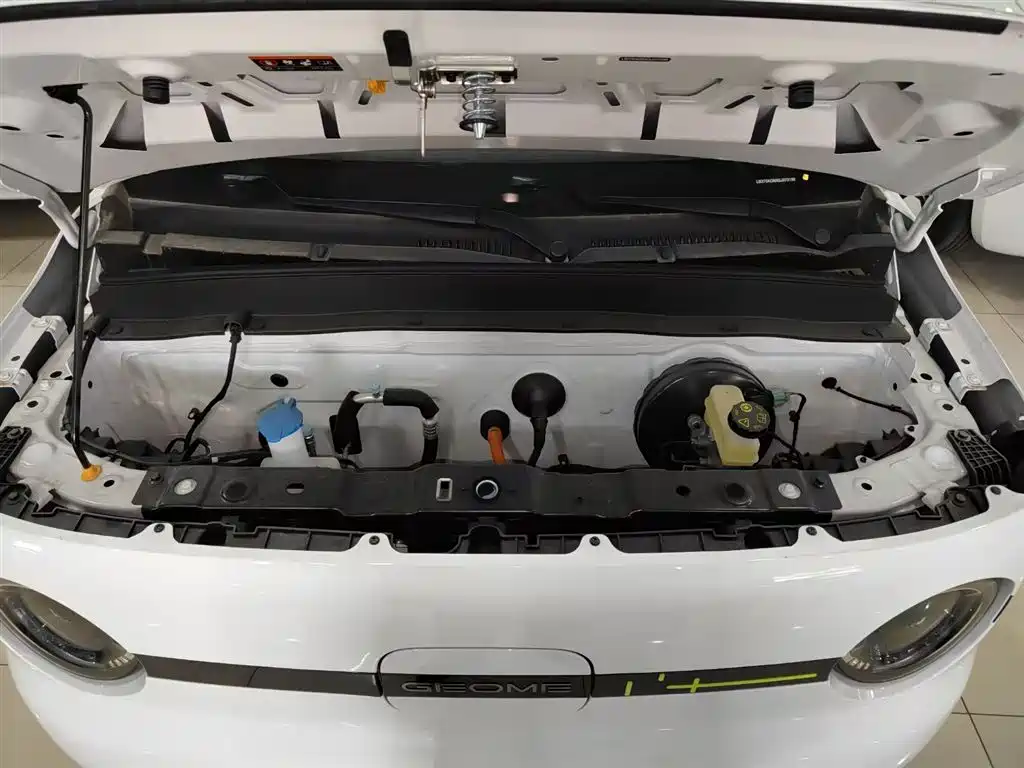 Geely Galaxy Panda 2025 Panda mini 210km Vitality Bear фото 16