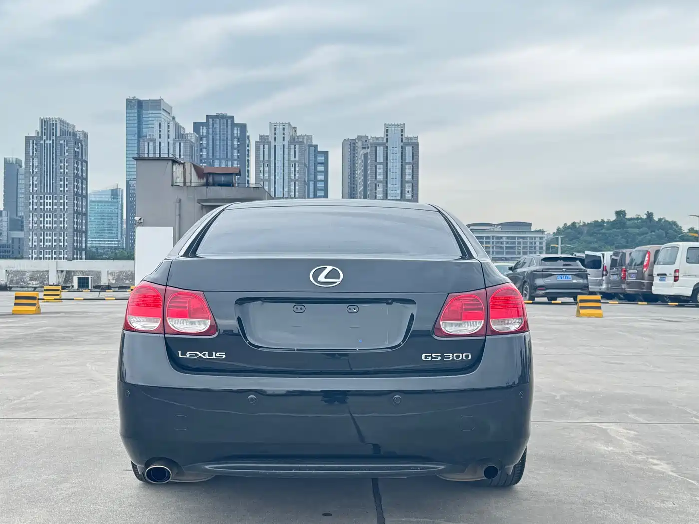 Lexus GS 2008 300 фото 14