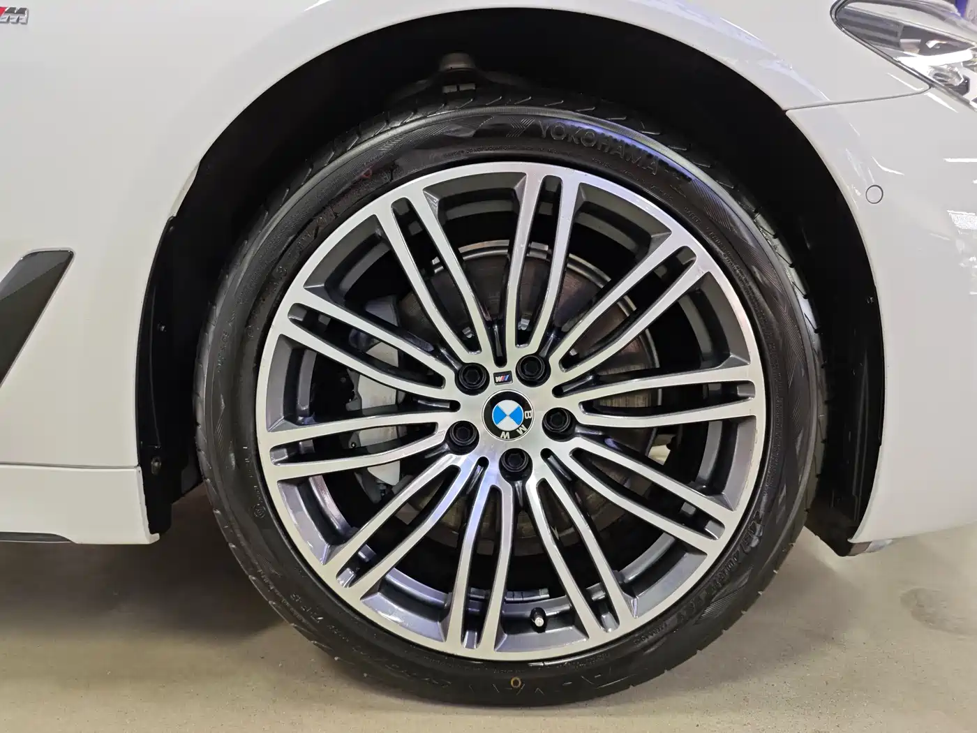 BMW 5 Series 2019 530Li Leading M Sport Package фото 14