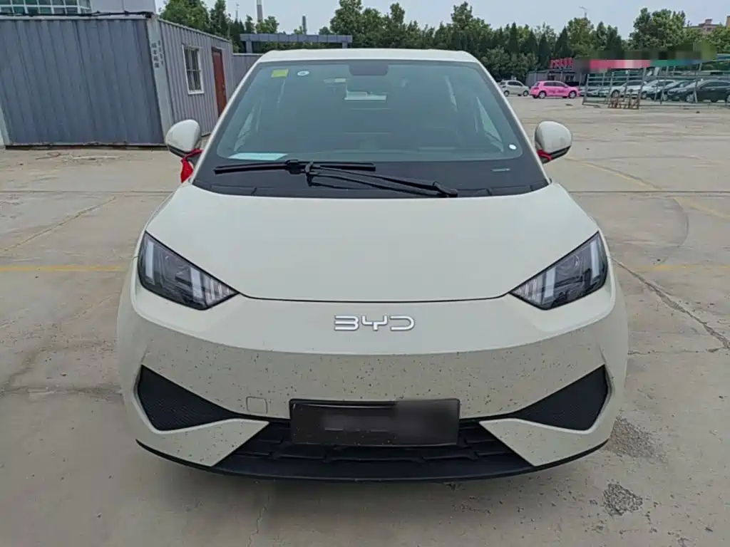 BYD Seagull 2026 2025 Smart Drive Edition 305km Vitality Version