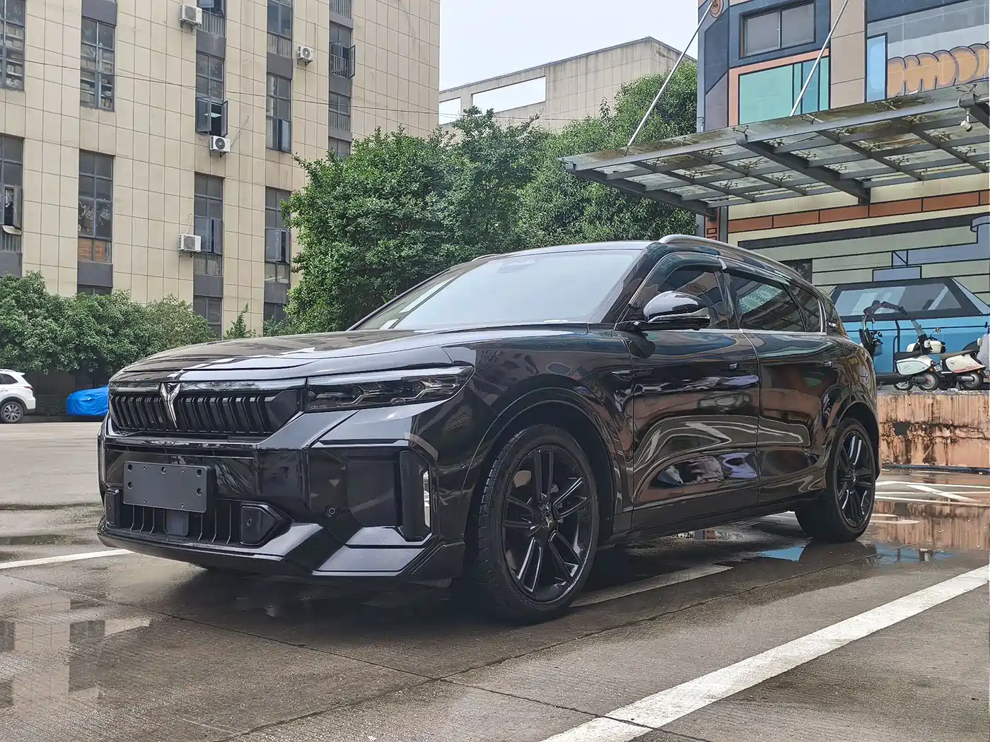 Voyah Auto VOYAH FREE 2024 Ultra Long Range Intelligent Driving Edition