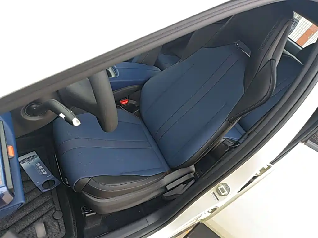 BYD Seagull 2026 2025 Smart Drive Edition 305km Vitality Version
