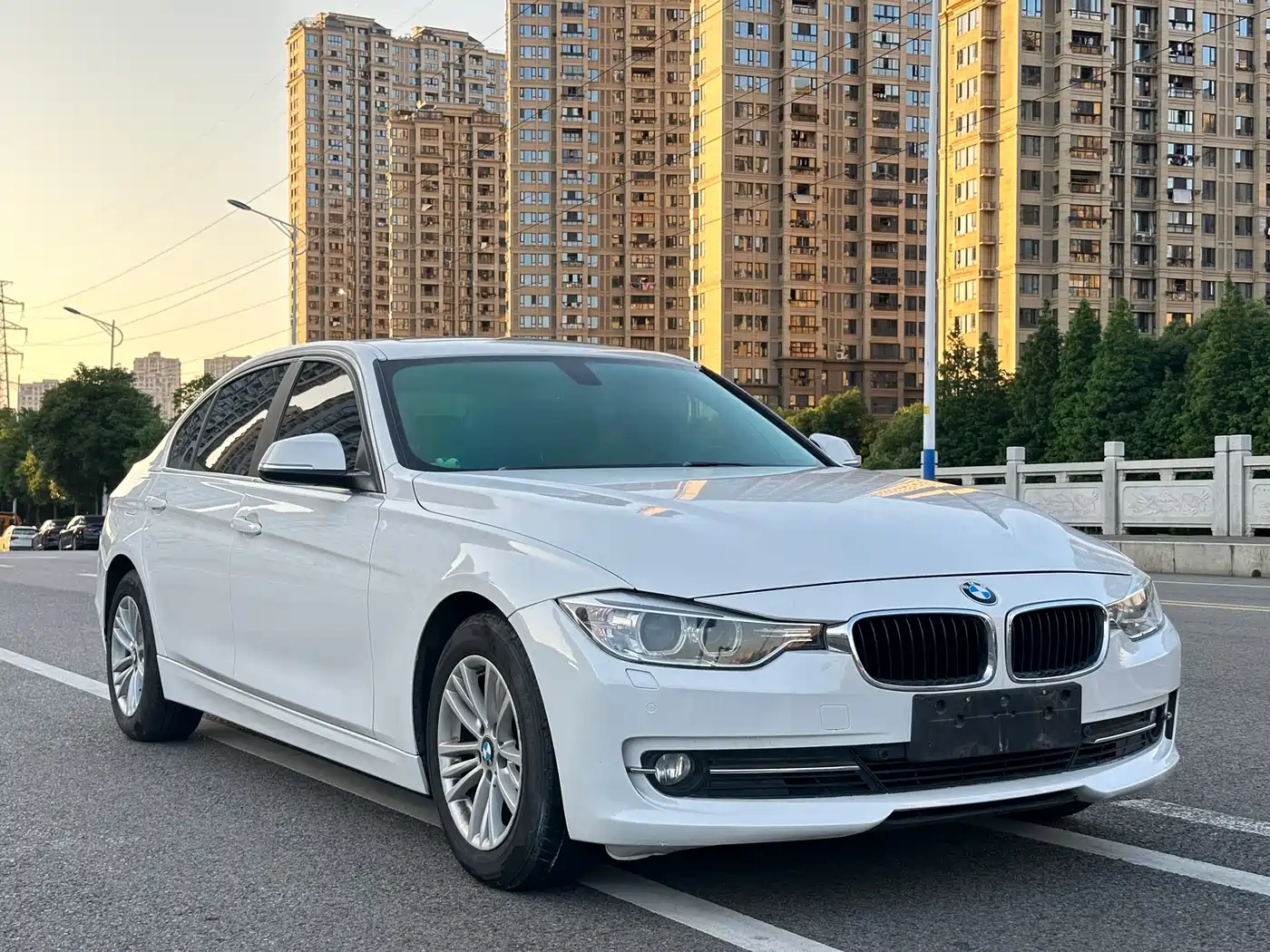 BMW 3 Series 2015 316Li Fashion фото 4