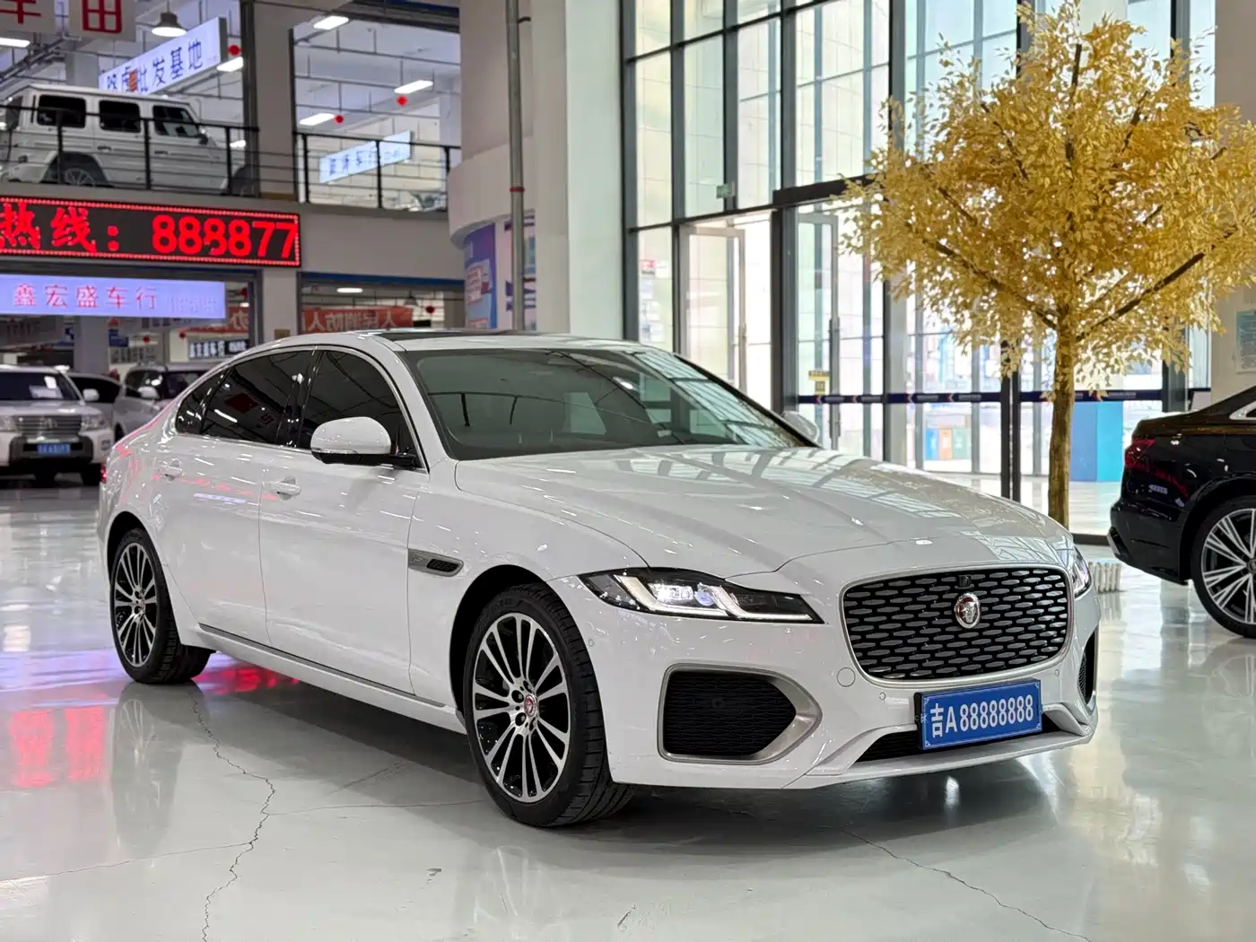 JAGUAR XFL