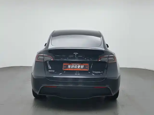 Tesla Model Y 2024 Rear-Wheel Drive Version — фото 4