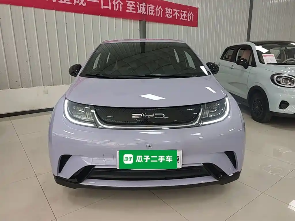 Фото 3 - BYD Dolphin