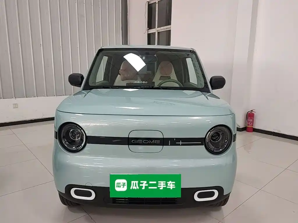 Фото 3 - Geely Galaxy Panda