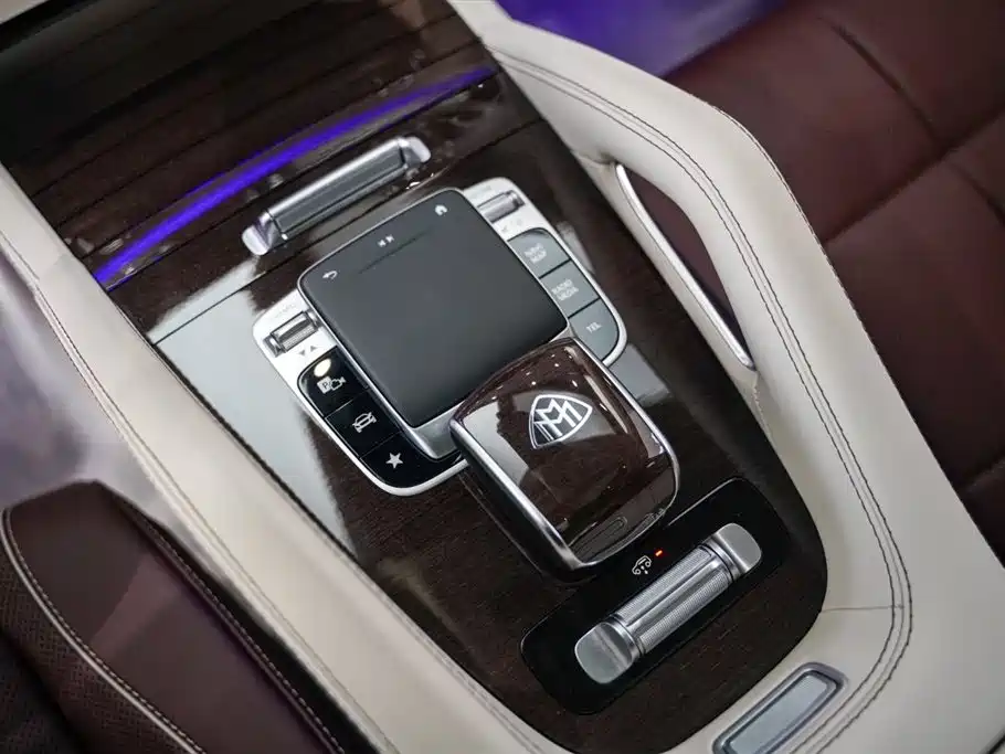 Mercedes-Benz Maybach GLS 2021 GLS 600 4MATIC Ritual Edition фото 12