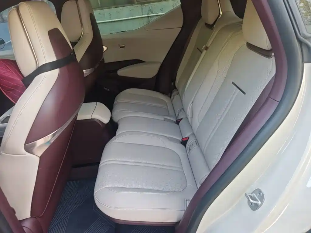 ZEEKR X 2024 2023 AWD YOU Edition 4-Seater