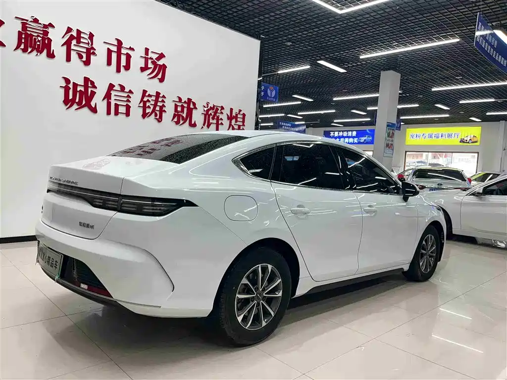 BYD Destroyer 05 2024 Glory Edition DM-i 55KM Luxury фото 6