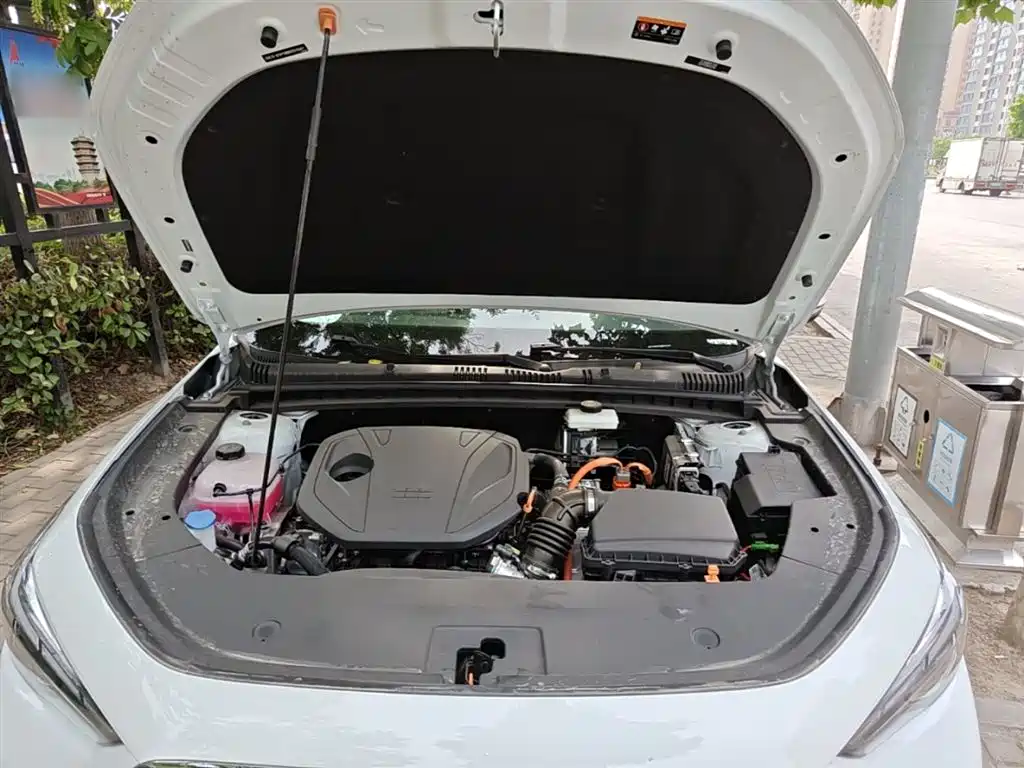 Geely Galaxy Galaxy Stellar 6 2025 60km Voyager Edition фото 20