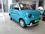 Фото 4 - Ruilan Auto Ruilan Blue Elf