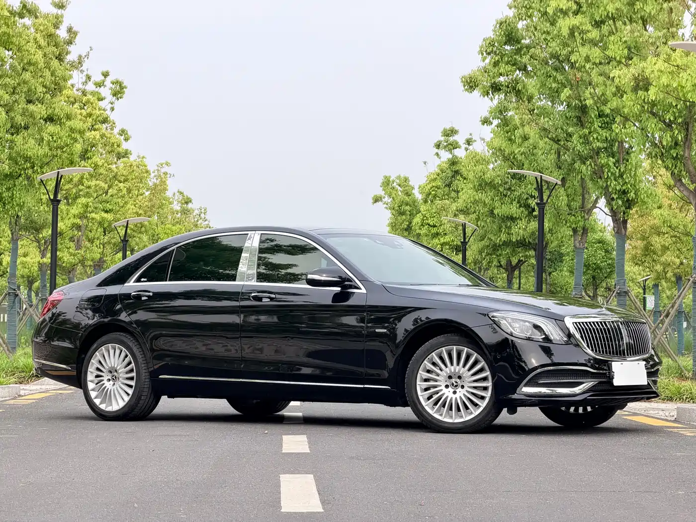 Mercedes-Benz S-Class 2020 S 350 L Business Edition Collector's Version фото 3