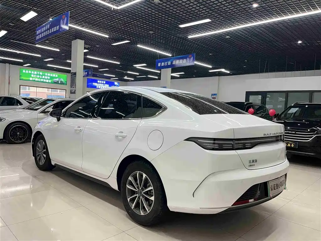 BYD Destroyer 05 2024 Glory Edition DM-i 55KM Luxury фото 4