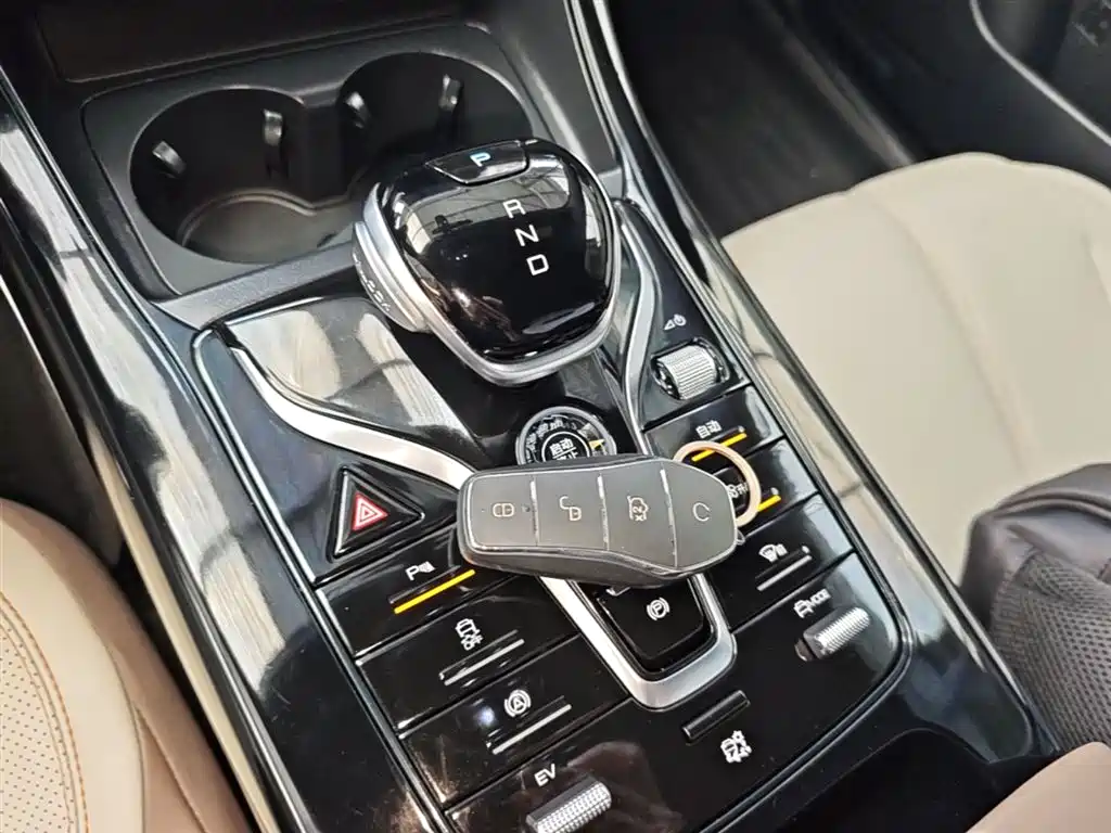 BYD Qin PLUS 2024 Glory Edition DM-i 55KM Leading фото 14