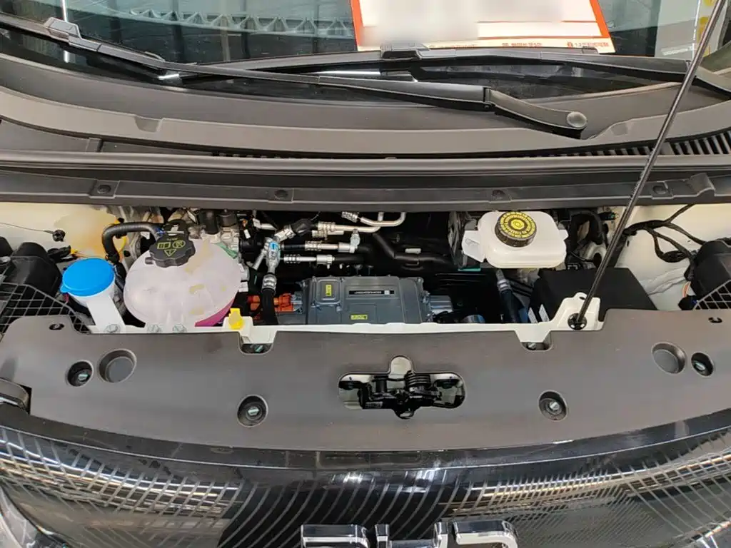 BYD Dolphin 2026 2025 420km Freedom Edition