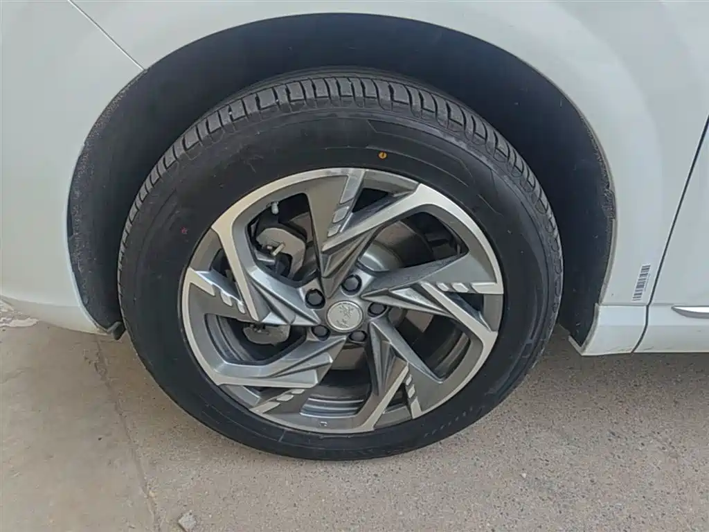 Hongqi HS3 PHEV 2024 PHEV 115km Power Edition фото 23